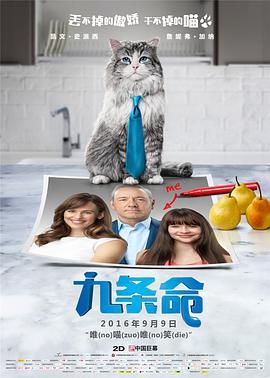伊人在综合