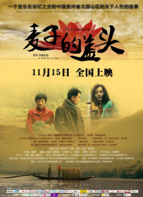 百分百无遮挡